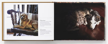 Бумажная книга «Best Friends Forever. The Greatest Collection of Taxidermy Dogs on Earth», автор Джей Ди Пауэр - фото №3 - миниатюра