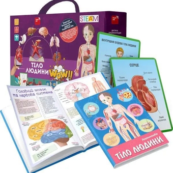  «Ігровий набір FastAR Kids Тіло людини (9786178237042)», бренда FastAR Kids - фото №2 - миниатюра