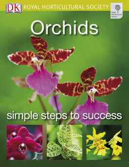 Паперова книга «Orchids» - фото №1 - мініатюра
