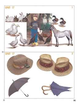 Бумажная книга «Grammarway 2 Picture Flashcards», авторов Дженни Дули, Вирджиния Эванс - фото №7 - миниатюра