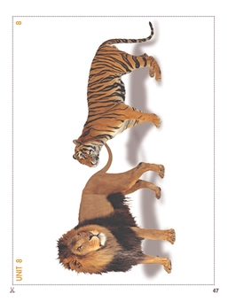 Бумажная книга «Grammarway 2 Picture Flashcards», авторов Дженни Дули, Вирджиния Эванс - фото №16 - миниатюра