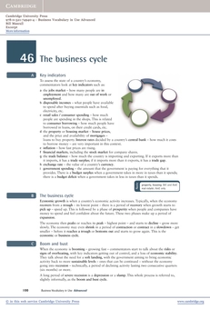 Паперова книга «Business Vocabulary in Use: Advanced with Answers (+ CD-ROM)», автор Білл Мескалл - фото №4 - мініатюра