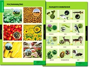 Бумажная книга «Природознавство. 3-4 класи. Навчально-методичний посібник та додаток з 11 плакатів» - фото №2 - миниатюра