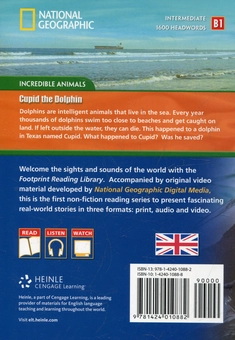 Паперова книга «Cupid the Dolphin (+DVD)» - фото №3 - мініатюра