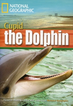 Паперова книга «Cupid the Dolphin (+DVD)» - фото №1 - мініатюра