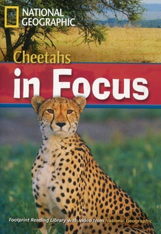 Паперова книга «Cheetahs in Focus (+DVD)» - фото №1 - мініатюра