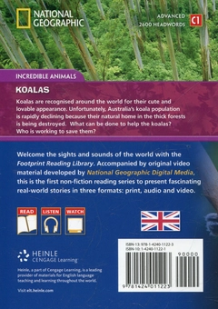 Паперова книга «Koalas (+DVD)» - фото №3 - мініатюра