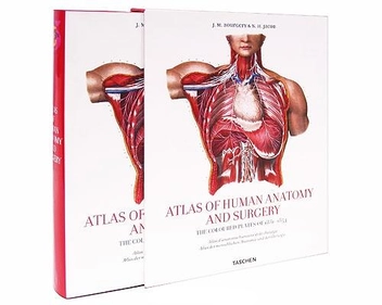 Бумажная книга «Atlas of Human Anatomy and Surgery. The Coloured Plates of 1831-1854», авторов Жан Марк Боржери, Николас Генри Якоб - фото №4 - миниатюра