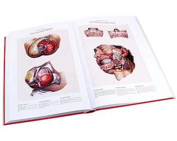 Бумажная книга «Atlas of Human Anatomy and Surgery. The Coloured Plates of 1831-1854», авторов Жан Марк Боржери, Николас Генри Якоб - фото №6 - миниатюра