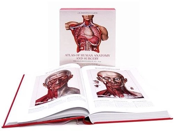 Бумажная книга «Atlas of Human Anatomy and Surgery. The Coloured Plates of 1831-1854», авторов Жан Марк Боржери, Николас Генри Якоб - фото №5 - миниатюра