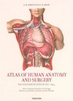 Бумажная книга «Atlas of Human Anatomy and Surgery. The Coloured Plates of 1831-1854», авторов Жан Марк Боржери, Николас Генри Якоб - фото №2 - миниатюра