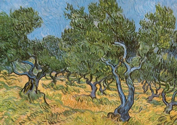  «Открытка Tushita Vincent van Gogh Olive grove», бренда Tushita - фото №1 - миниатюра