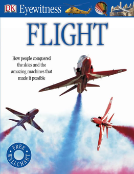 Бумажная книга «Flight» - фото №1 - миниатюра