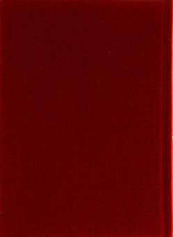 Паперова книга «Два кольори», автор Дмитро Павличко - фото №3 - мініатюра