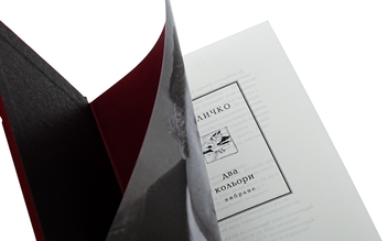 Паперова книга «Два кольори», автор Дмитро Павличко - фото №5 - мініатюра