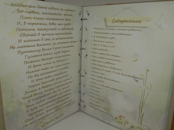 «Детский альбом в кожаном переплете Макей Мой первый год. День за днем (620-07-05)» - фото №5 - миниатюра