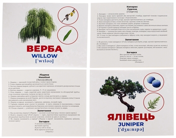 Бумажная книга «Геній з пелюшок. Дерева та кущі» - фото №4 - миниатюра