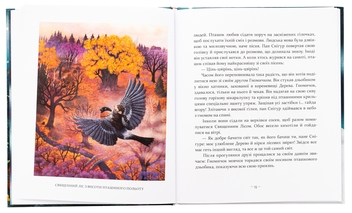 Бумажная книга «Різдвяні оповідки про гнома та видимих і невидимих лісових мешканців», автор Бернадетта Бородзюк - фото №5 - миниатюра