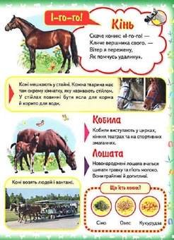 Бумажная книга «Моя перша книга. Про свійських тварин» - фото №3 - миниатюра