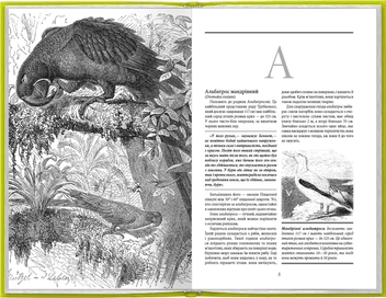 Паперова книга «Життя тварин. Птахи. А-К», автор Альфред Брем - фото №4 - мініатюра