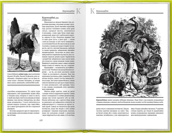 Паперова книга «Життя тварин. Птахи. А-К», автор Альфред Брем - фото №5 - мініатюра