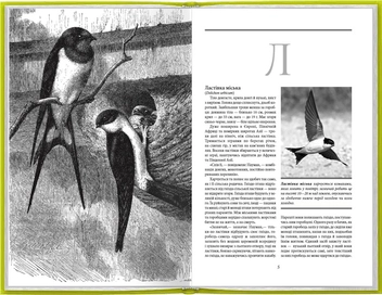 Бумажная книга «Життя тварин. Птахи. Л-Я», автор Альфред Брем - фото №2 - миниатюра