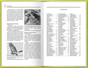 Бумажная книга «Життя тварин. Птахи. Л-Я», автор Альфред Брем - фото №3 - миниатюра