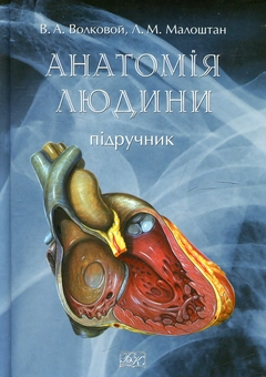 Паперова книга «Анатомія людини. Підручник», авторів Валерsй Волковой, Людмила Малоштан - фото №2 - мініатюра