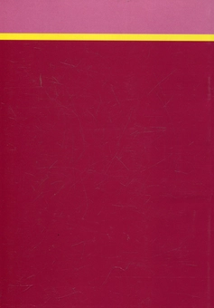Паперова книга «Сучасна криптографія. Основні поняття», авторів В. Ємець, Анатолій Мельник, Роман Попович - фото №3 - мініатюра