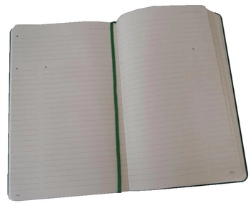  «Недатированная записная книжка Moleskine Folio Professional Зеленая (978-88-6732-020-2)», бренда Moleskine - фото №6 - миниатюра