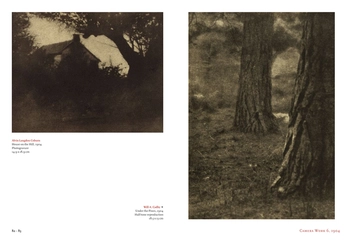 Паперова книга «Alfred Stieglitz. Camera Work», автор Пем Робертс - фото №4 - мініатюра