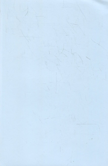 Паперова книга «Володимир Винниченко. Щоденник. Том 3 (1926-1928)» - фото №3 - мініатюра