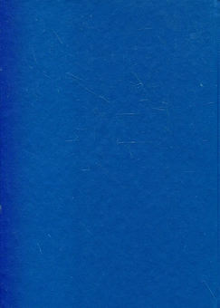 Бумажная книга «Вячеслав Липинський. Листування. Том 1. А-Ж», автор Вячеслав Липинский - фото №3 - миниатюра