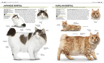Бумажная книга «The Complete Cat Breed Book» - фото №5 - миниатюра