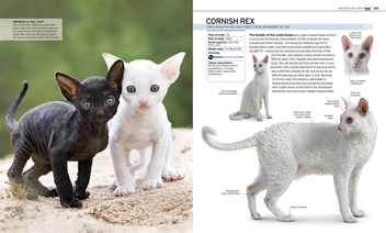 Бумажная книга «The Complete Cat Breed Book» - фото №6 - миниатюра