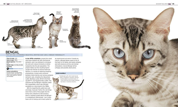 Бумажная книга «The Complete Cat Breed Book» - фото №3 - миниатюра
