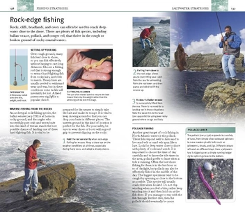 Бумажная книга «Eyewitness Companions: Fishing», автор Генри Гилби - фото №5 - миниатюра