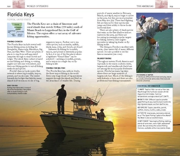 Бумажная книга «Eyewitness Companions: Fishing», автор Генри Гилби - фото №6 - миниатюра