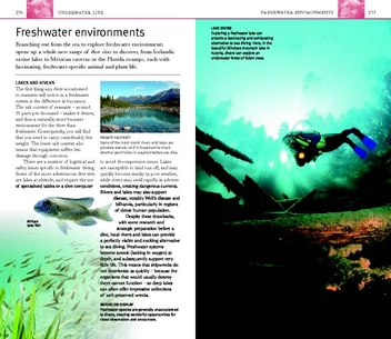 Бумажная книга «Eyewitness Companions: Scuba Diving», авторов Монти Холлс, Миранда Крестовникофф - фото №5 - миниатюра