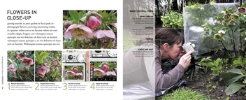 Паперова книга «How to Photograph Absolutely Everything», автор Том Енг - фото №3 - мініатюра