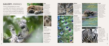 Паперова книга «How to Photograph Absolutely Everything», автор Том Енг - фото №4 - мініатюра