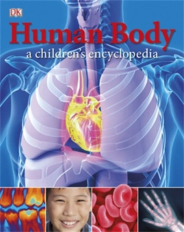 Бумажная книга «Human Body: A Children's Encyclopedia» - фото №2 - миниатюра