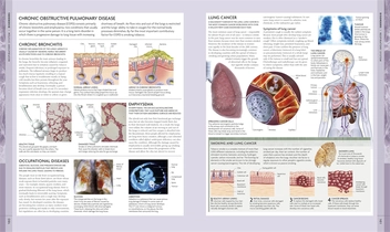 Бумажная книга «Human Body Book (+ DVD-ROM)», автор Стив Паркер - фото №5 - миниатюра