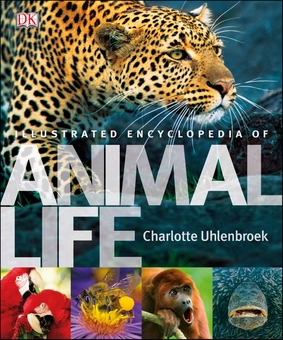 Бумажная книга «Illustrated Encyclopedia of Animal Life», автор Шарлотта Уленбрук - фото №1 - миниатюра