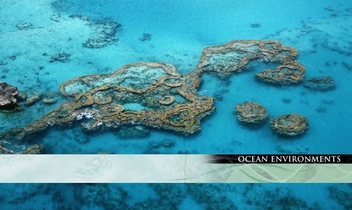 Бумажная книга «Illustrated Encyclopedia of the Ocean» - фото №6 - миниатюра