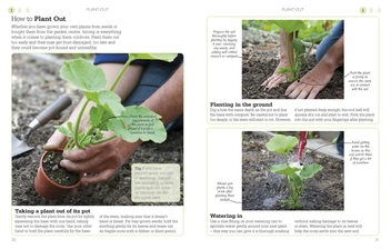 Бумажная книга «A Little Course in Growing Veg & Fruit» - фото №6 - миниатюра