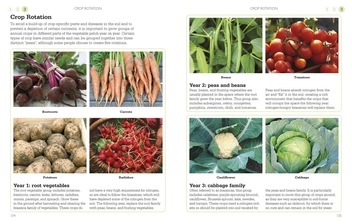 Бумажная книга «A Little Course in Growing Veg & Fruit» - фото №3 - миниатюра