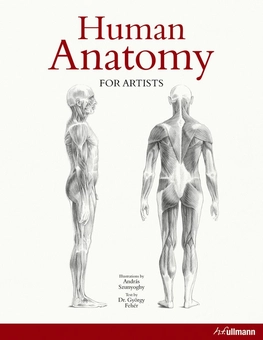 Бумажная книга «Human Anatomy for Artists», автор Дьердь Фехер - фото №2 - миниатюра