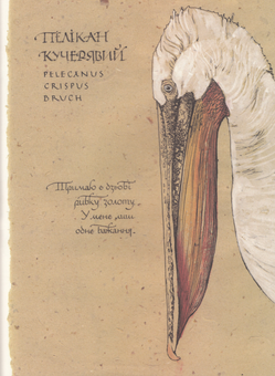 Бумажная книга «Поетична червона книга України / Poetics of Endangered Species Ukraine» - фото №5 - миниатюра