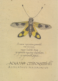 Бумажная книга «Поетична червона книга України / Poetics of Endangered Species Ukraine» - фото №6 - миниатюра